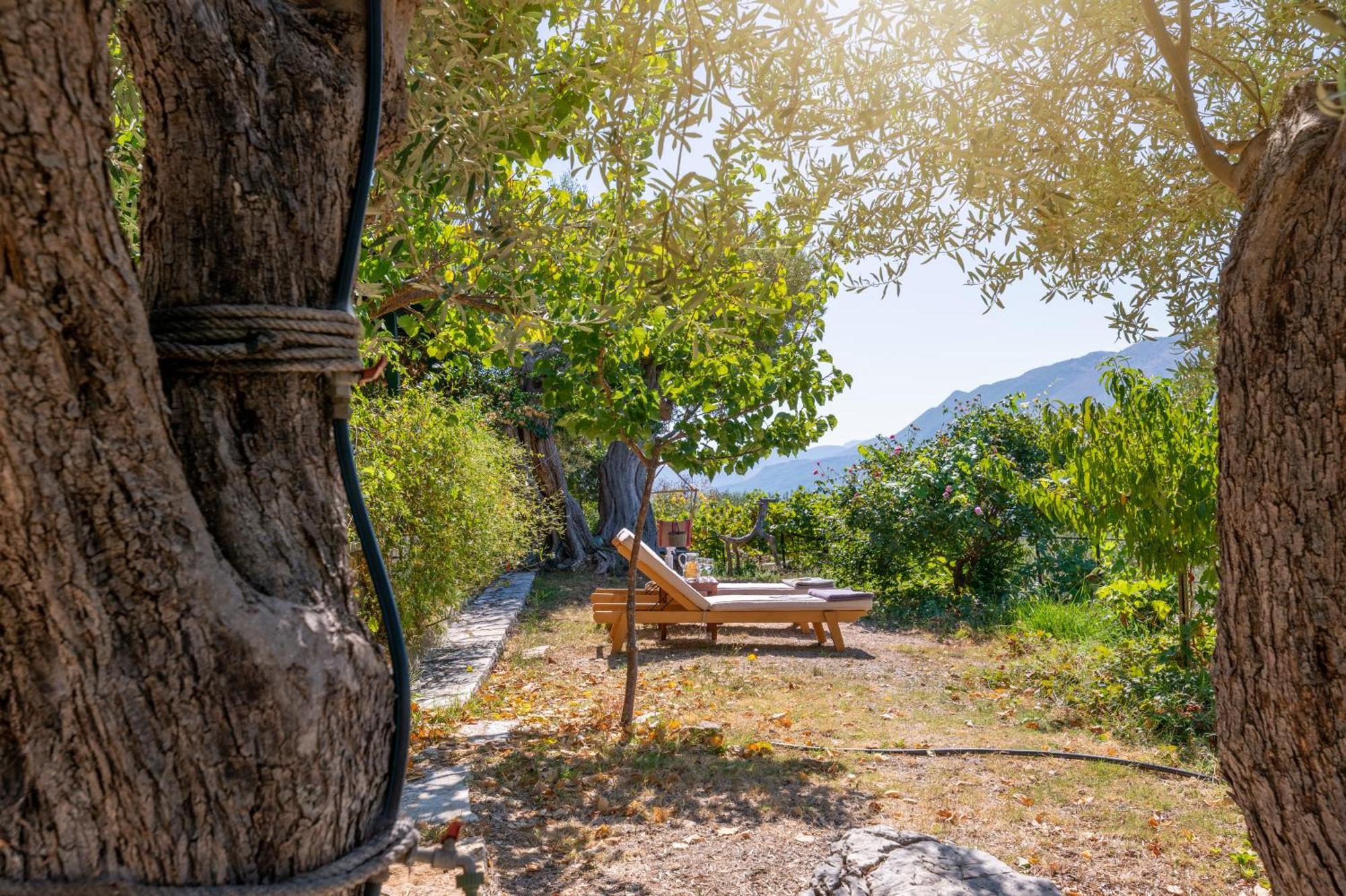 Liodentro - Olea Villa Plataria Ngoại thất bức ảnh