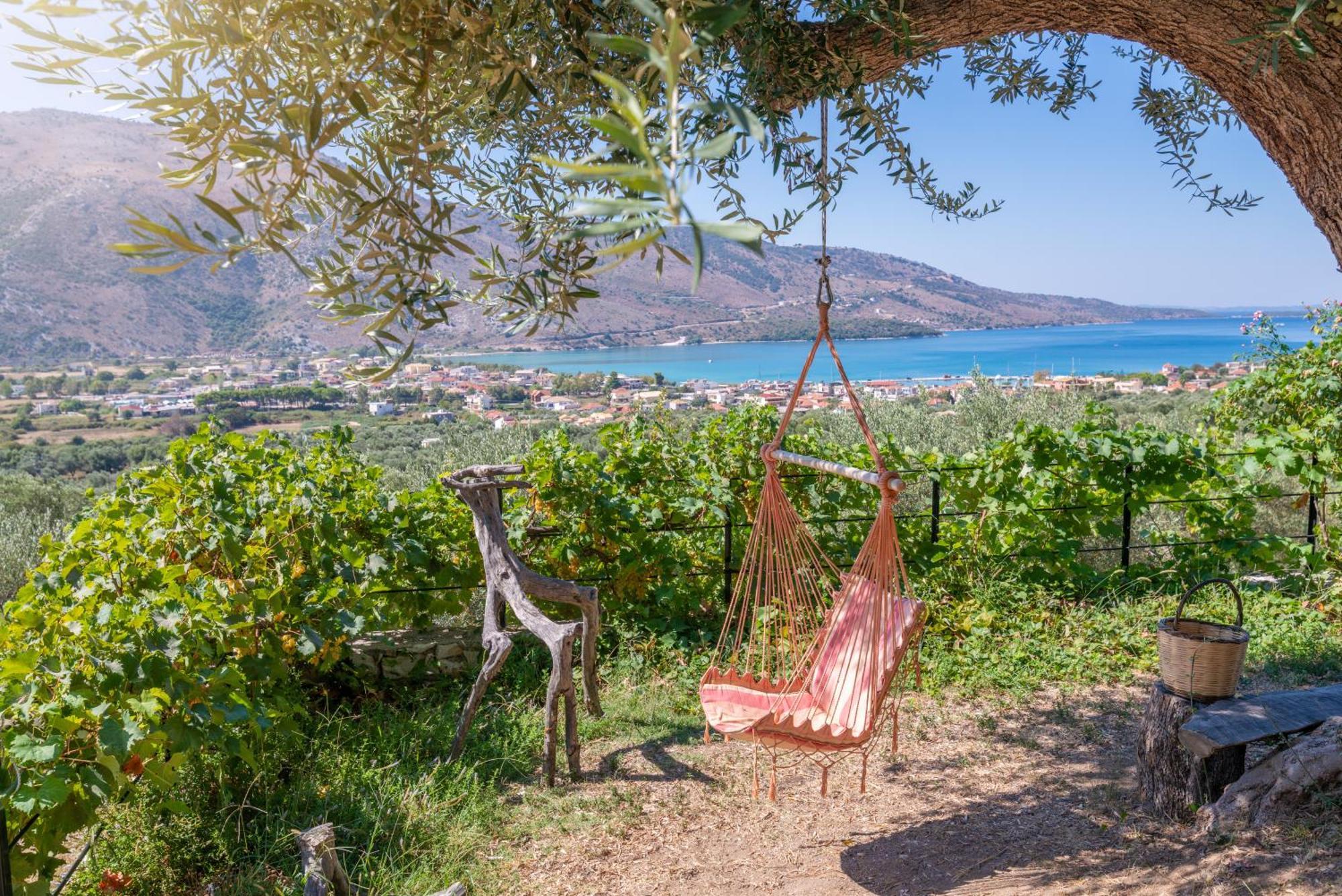 Liodentro - Olea Villa Plataria Ngoại thất bức ảnh