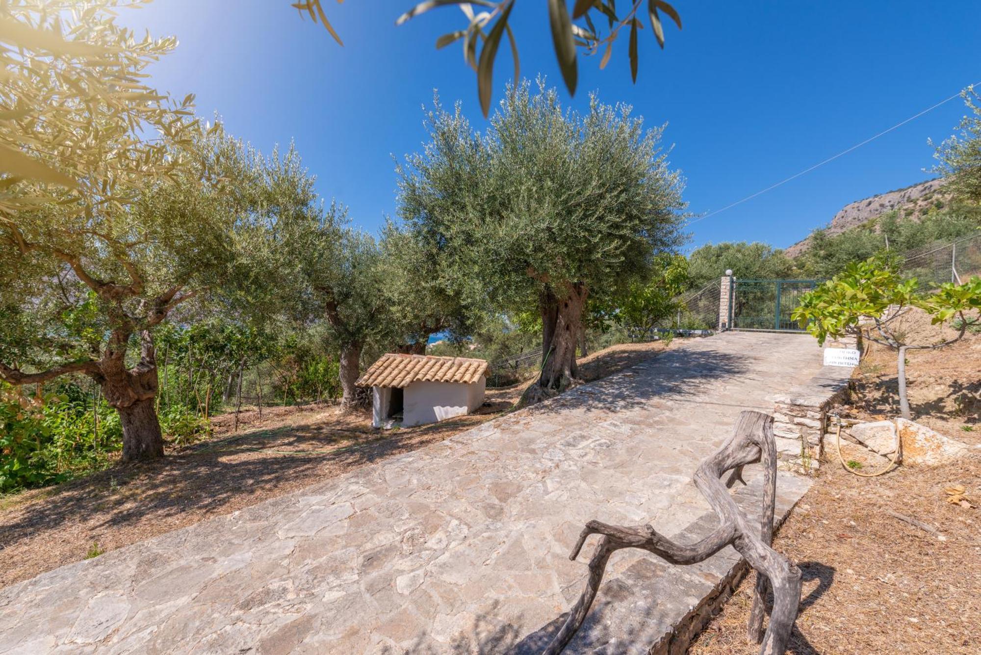 Liodentro - Olea Villa Plataria Ngoại thất bức ảnh