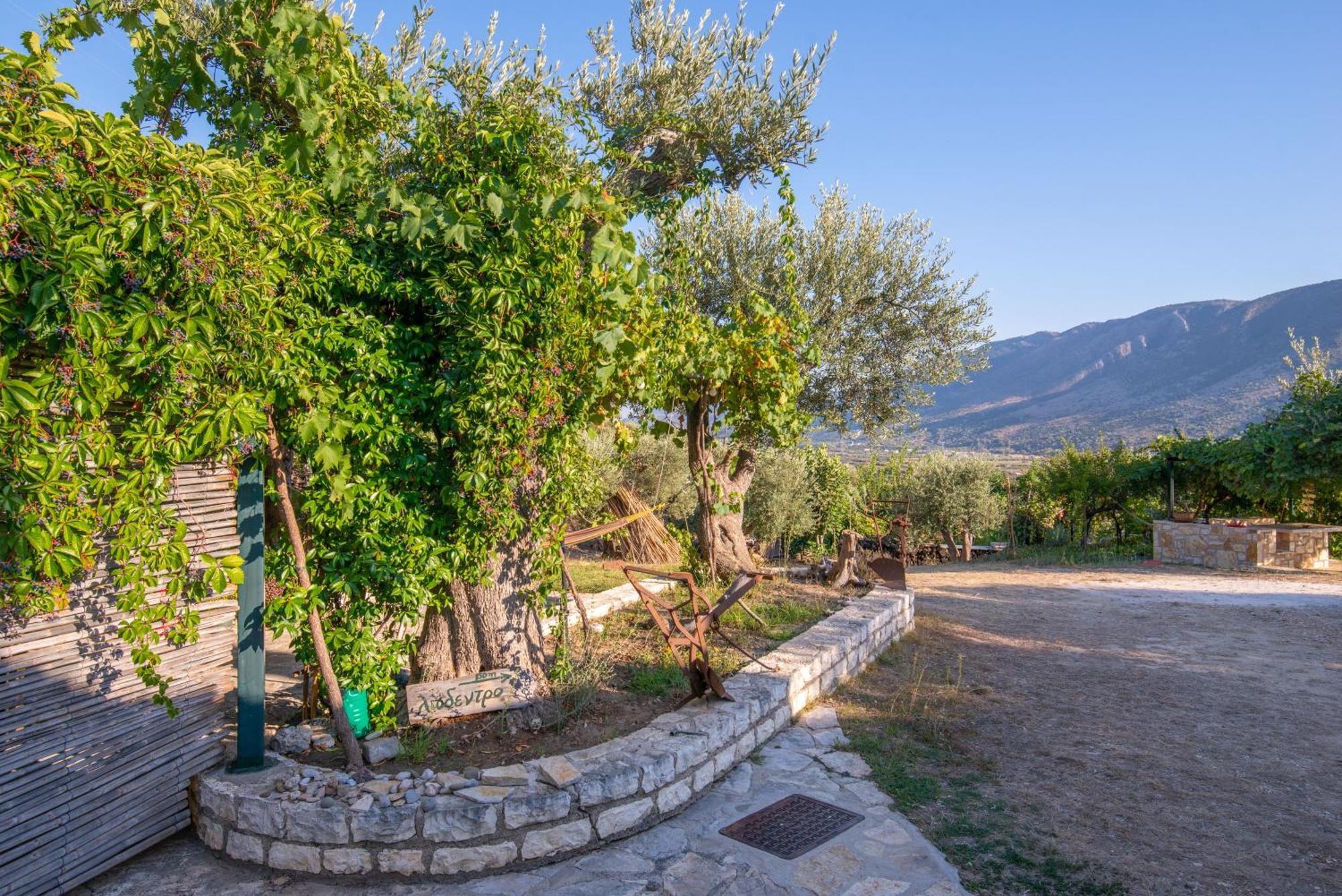 Liodentro - Olea Villa Plataria Ngoại thất bức ảnh