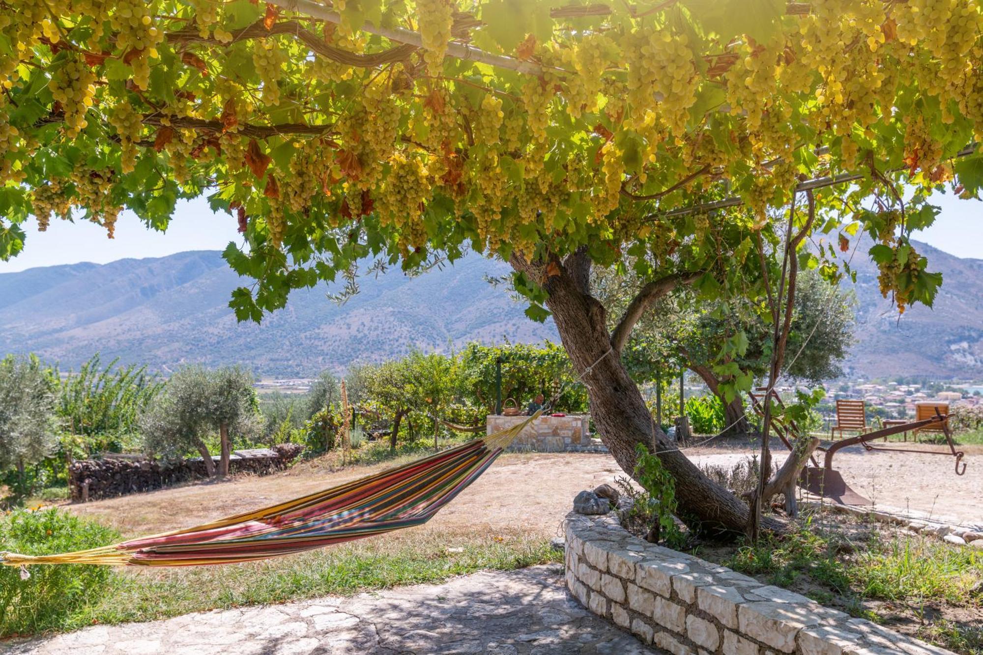 Liodentro - Olea Villa Plataria Ngoại thất bức ảnh